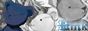 LMK Version 11 Button 2